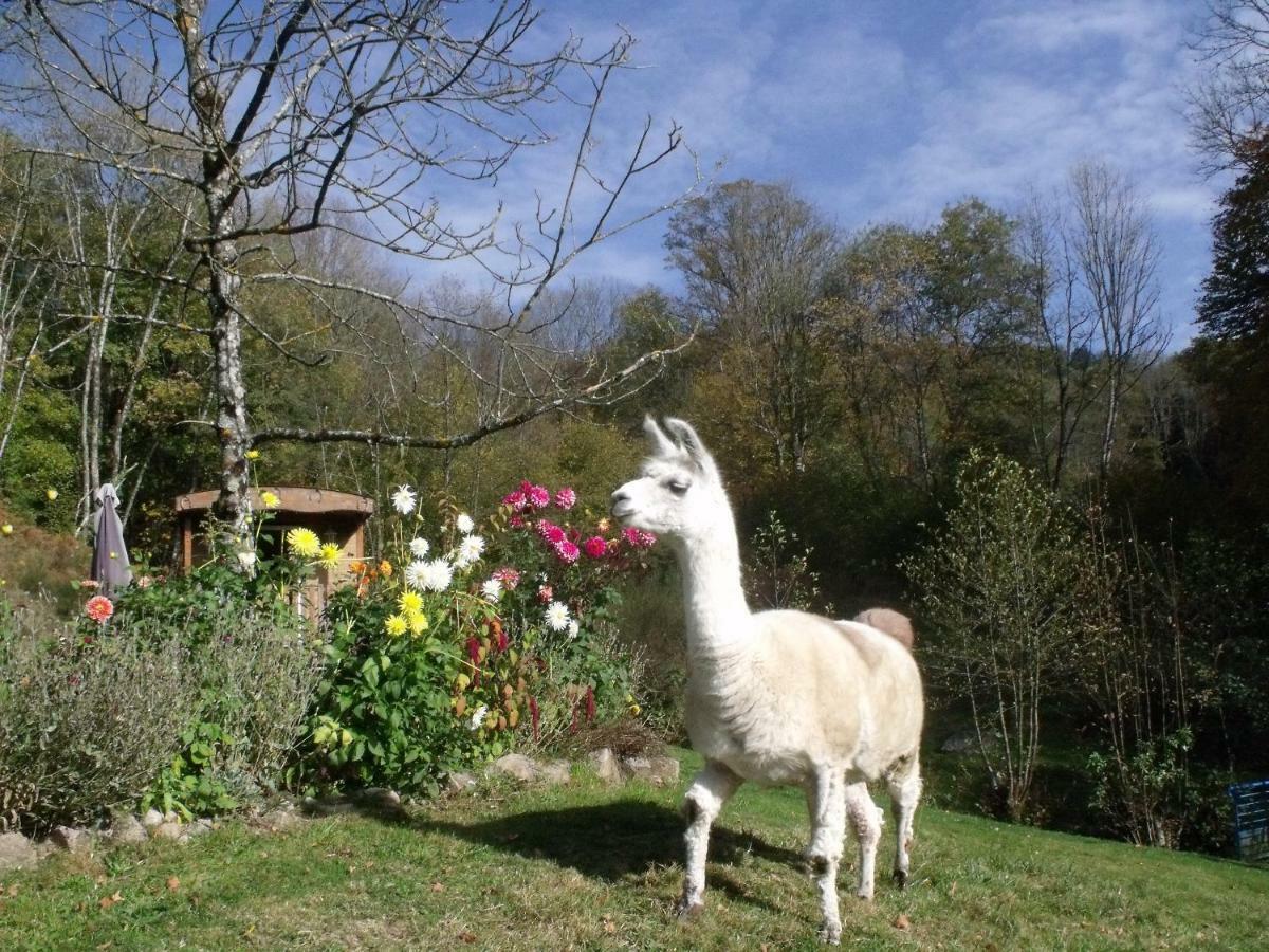 Le Domaine Du Chatelet Ferdrupt Dış mekan fotoğraf
