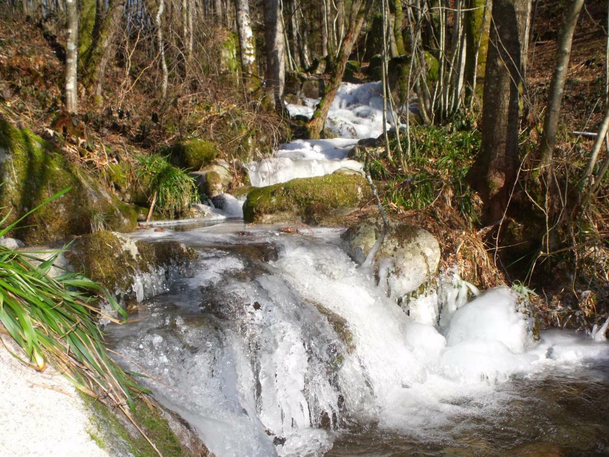 Le Domaine Du Chatelet Ferdrupt Dış mekan fotoğraf